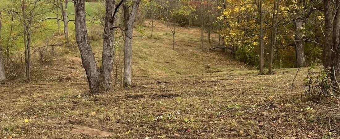 Hillside Brush Clearing in Jefferson County — Before & After