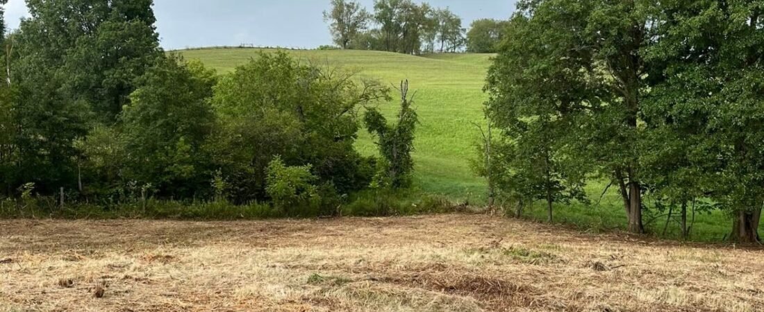 Pasture Reclamation: Bringing an Overgrown Field Back